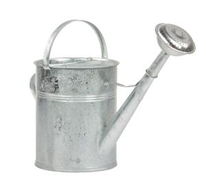 9L Watering galvanised Can