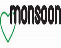 Monsoon Domestic Pumps