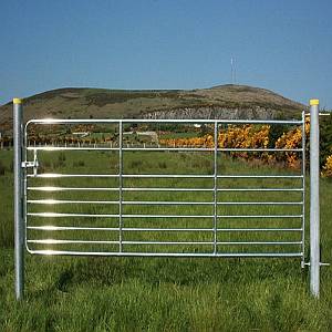 D9 GAL TUB 10' SHEEP GATE