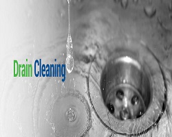 Drain Cleaning Additives