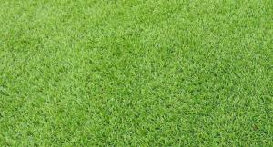 WONDERWALL ARTIFICIAL GRASS 4M X 1M