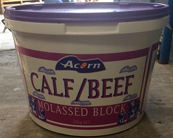 Acorn Calf/Beef Mineral Lick Bucket 20KG