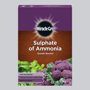 MIRACLE GRO 1.5KG SULPHATE OF AMMONIA VEG FOOD