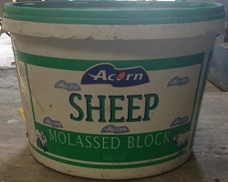 Acorn Sheep Mineral Lick 20KG