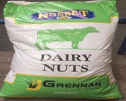Nugget Dairy Nuts 25KG