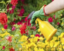 Garden Weed & Pest Control