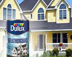 Exterior Paint